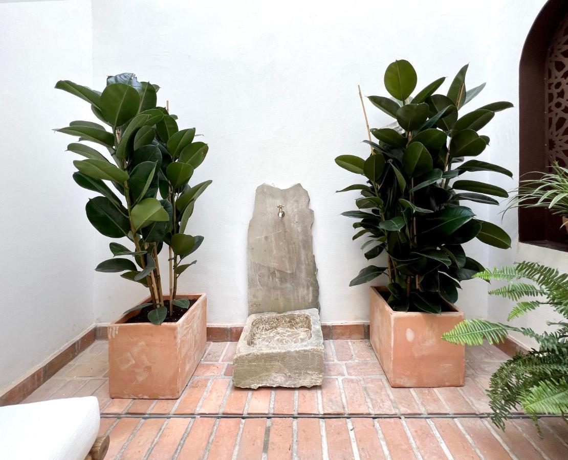 Arcos De Medina - Apartamentos Premium Córdoba Exteriér fotografie